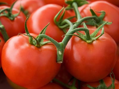 Туршия от червени домати